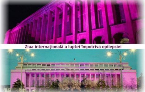 Guvernul a iluminat Palatul Victoria in purpuriu