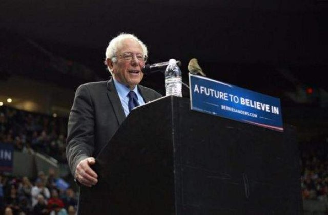 Bernie Sanders a castigat alegerile din statele Alaska si Washington