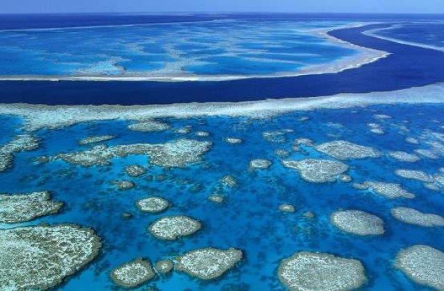 Marea Bariera de Corali din Australia, in pericol de disparitie