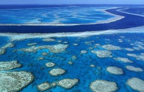 Marea Bariera de Corali din Australia, in pericol de disparitie