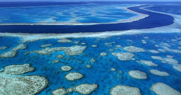 Marea Bariera de Corali din Australia, in pericol de disparitie