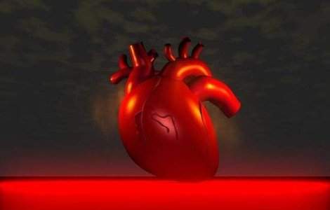 Reusita uriasa: Prima inima perfect functionala creata in laborator