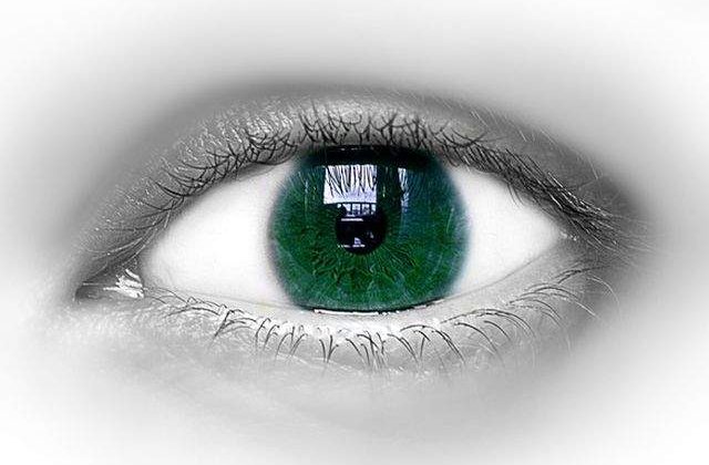 Studiu: Oamenii percep lucrurile diferit in functie de limba vorbita