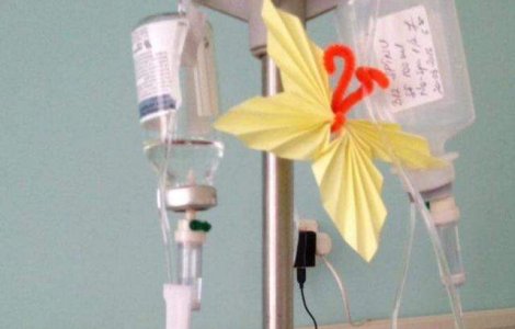 Focar de rujeola in Bistrita si Cluj. 79 de cazuri, confirmate