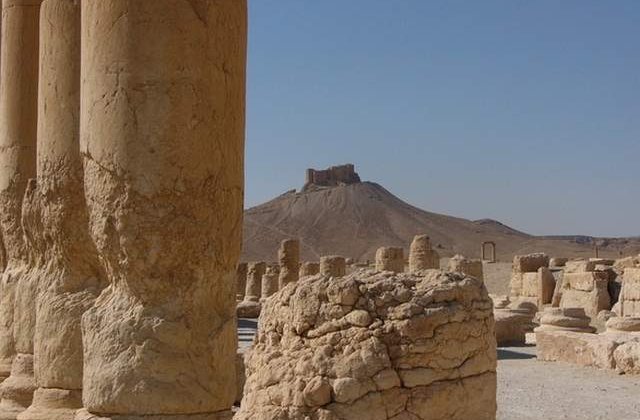 Groapa cu zeci de cadavre ale unor ostatici executati de Stat Islamic, gasita in Palmyra