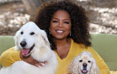  Top  10 povesti de la Hollywood! Celebritati care au fost oameni ai strazii