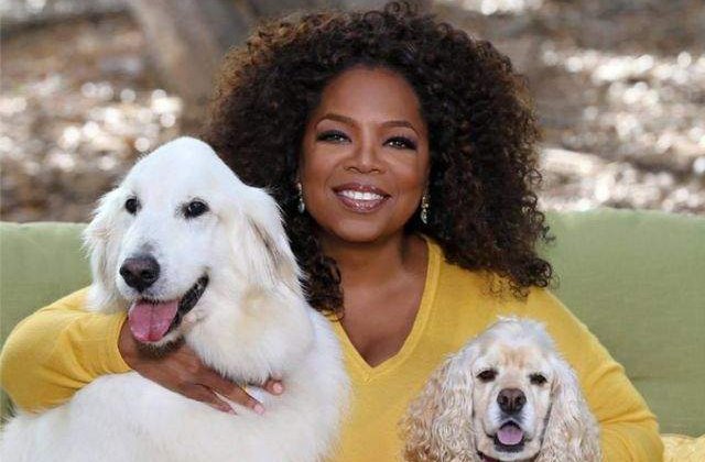 10 povesti de la Hollywood! Celebritati care au fost oameni ai strazii