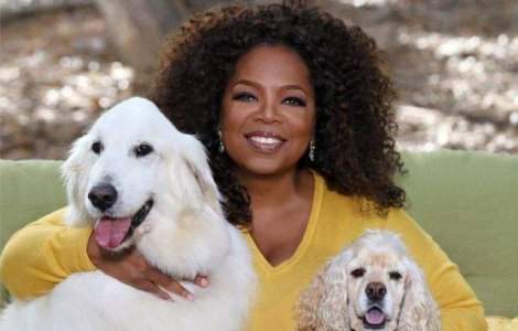  Top  10 povesti de la Hollywood! Celebritati care au fost oameni ai strazii