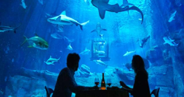 Cea mai tare experienta: poti petrece o noapte in mijlocul rechinilor