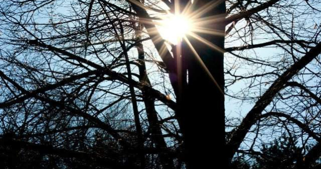 Prognoza meteo: Temperaturi specifice zonei tropicale in urmatoarele zile