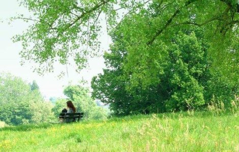 Studiu: Timpul petrecut in natura stimuleaza generozitatea