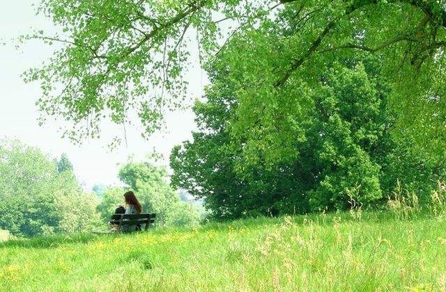 Studiu: Timpul petrecut in natura stimuleaza generozitatea