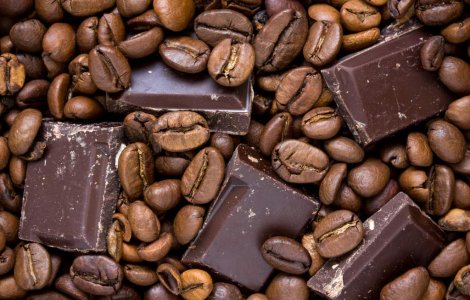  Top  Pe cale de disparitie! 9 lucruri de care in curand nu te vei mai putea bucura