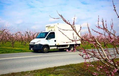 Un roman care transporta imigranti extracomunitari, arestat