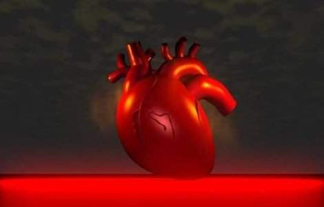 Studiu: Vitamina D poate fi folosita in prevenirea bolilor de inima