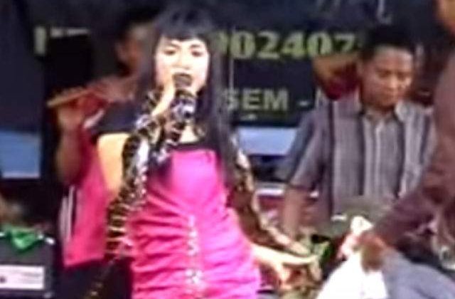 [VIDEO] A murit pe scena, in timpul unui concert, dupa ce a fost muscata de o cobra