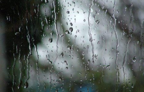 Vin ploile? Cum va fi vremea in weekend