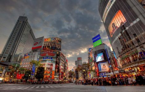 Japonia va introduce platile pe baza amprentei