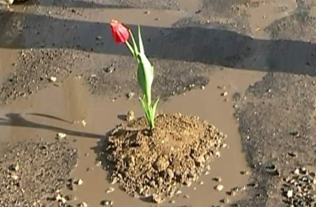 Protest inedit. Lalele plantate in gropile de pe drumuri
