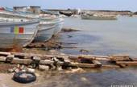 20.000 de romani au petrecut ziua de 1 MAI peste granita - VIDEO