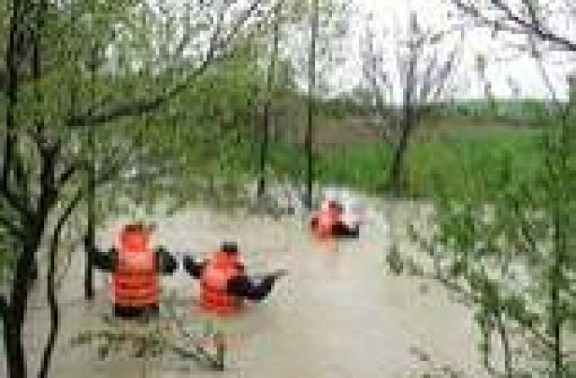 Cod galben in cinci judete