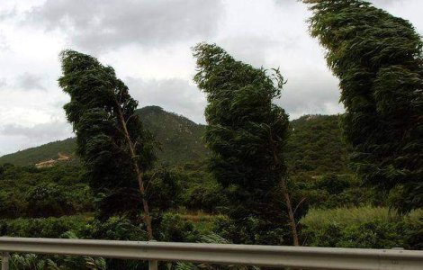 ANM: Cod galben de vant in 22 de judete din tara