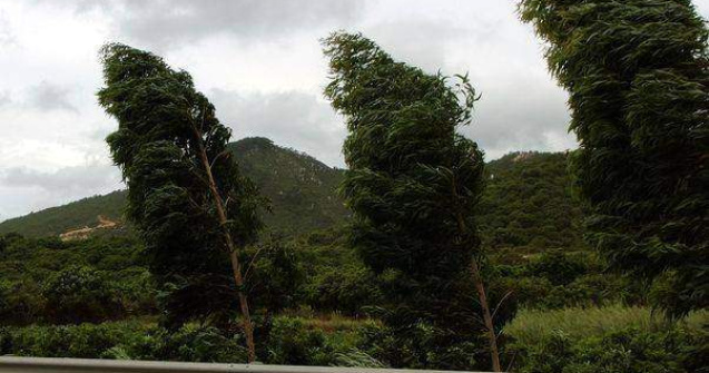 ANM: Cod galben de vant in 22 de judete din tara