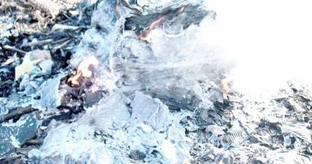 Carte de Cartarescu, arsa in Romania