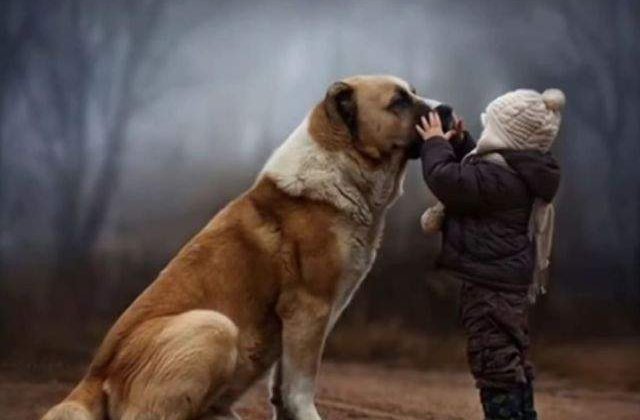 Legatura dintre om si caine, indestructibila! Poze emotionante care te vor lasa fara cuvinte