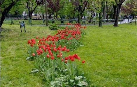 Targul de Paste din Cismigiu va avea loc intre 22 aprilie si 2 mai