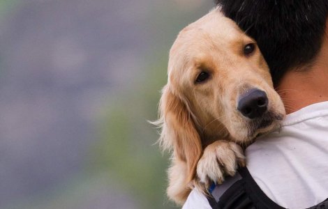  Video  De ce iubim mai mult cainii decat oamenii?