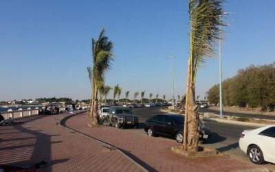 Arabia Saudita angajeaza...