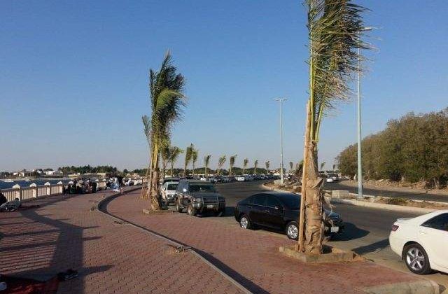 Arabia Saudita angajeaza bancheri de top