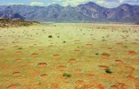  Foto  Misterul cercurilor zanelor din Africa, elucidat