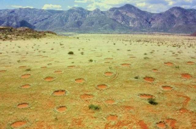 [FOTO] Misterul cercurilor zanelor din Africa, elucidat