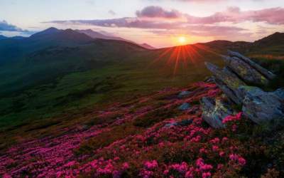 VIDEO  Aici se respira cel...