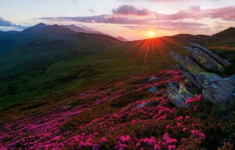  Video  Aici se respira cel mai curat aer din Europa. Locul din Romania unde circulatia cu masina e interzisa!