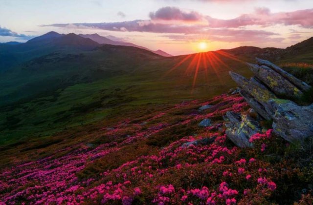 [VIDEO] Aici se respira cel mai curat aer din Europa. Locul din Romania unde circulatia cu masina e interzisa!