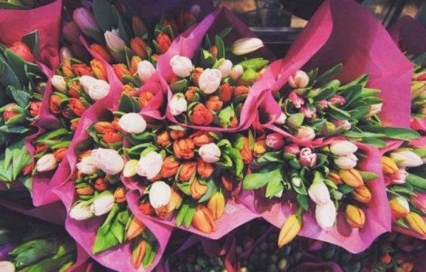 2,5 milioane de romani isi sarbatoresc onomastica cu ocazia sarbatorii Sf. Gheorghe si a Floriilor