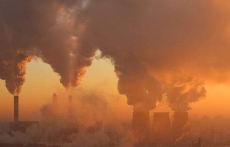  Top  7 schimbari ecologice alarmante petrecute in ultimul secol