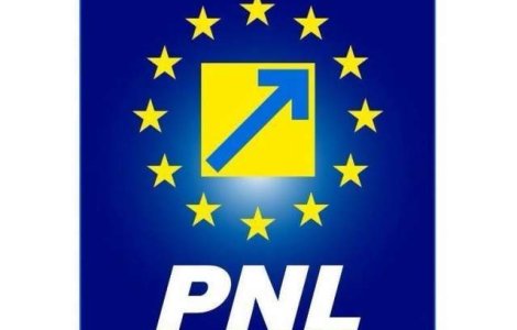 Primarul PNL al orasului Nadlac a fost pus sub control judicar timp de 60 de zile