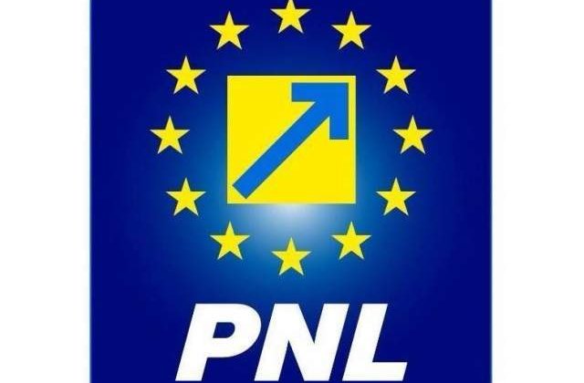 Primarul PNL al orasului Nadlac a fost pus sub control judicar timp de 60 de zile