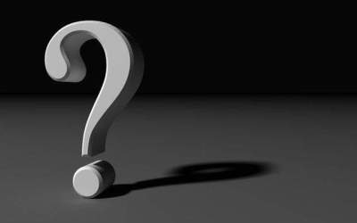 Ce actori vor face parte din...