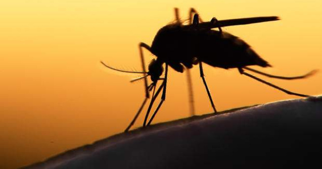 Un al doilea caz de infectare cu virusul Zika, confirmat pe Insula Reu