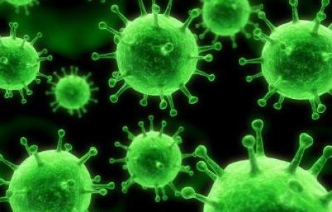  Top  10 lucruri pe care NU le stiati despre MICROBI. Vei fi surprins!