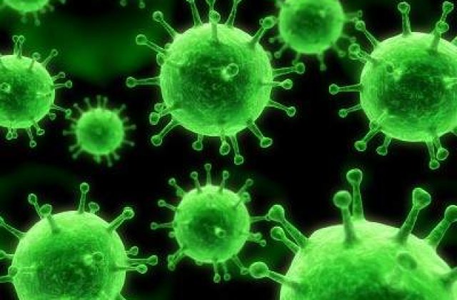 10 lucruri pe care NU le stiati despre MICROBI. Vei fi surprins!