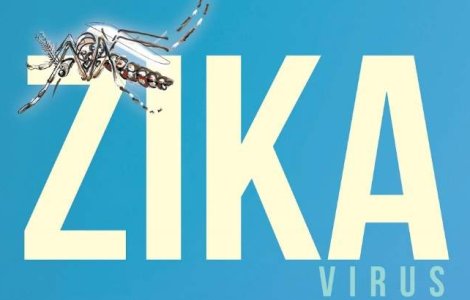 Epidemia cauzata de virusul Zika, declarata oficial in Arhipelagul Guadelupa
