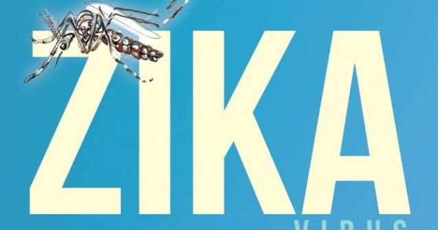 Epidemia cauzata de virusul Zika, declarata oficial
