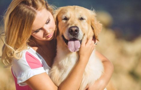 Nu va mai imbratisati animalele de companie!