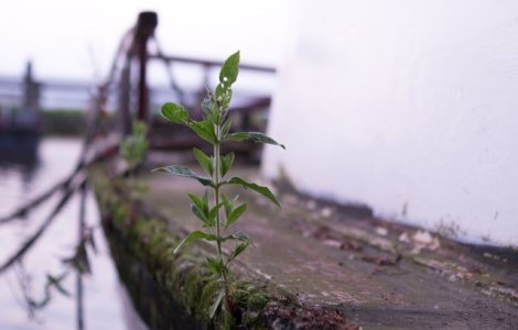 Vas naufragiat in nordul insulei Haiti! Cel putin noua persoane au murit